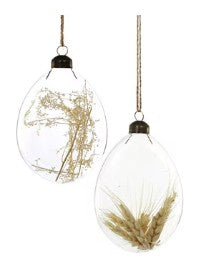 Encapsulated Speciman