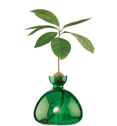 Acorn Vase